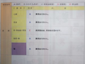 RIMG0027