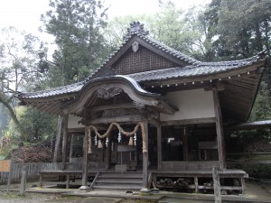 RIMG0006