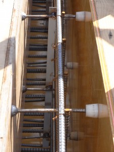 RIMG0011
