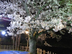 第57回エースの会