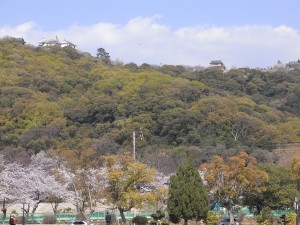 RIMG0072