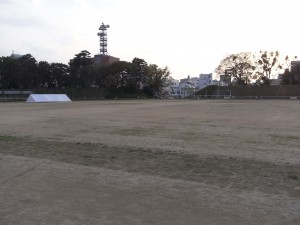 RIMG0116
