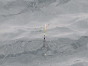 RIMG0052