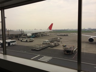 松山帰省＆今年初セミ