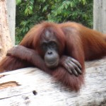 DSC04478