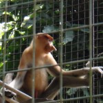 DSC04481
