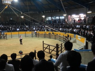 DSC05092