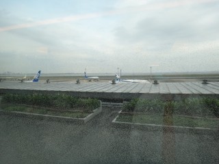 DSC07268