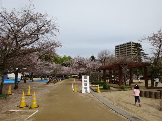 DSC00843