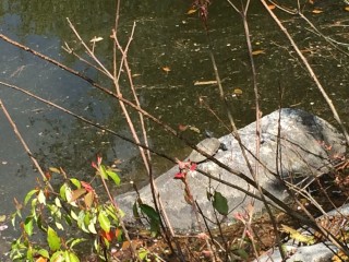 IMG_2428[1]