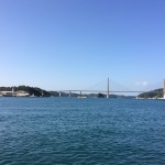 IMG_3781[1]