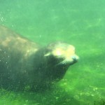 IMG_0344[1]