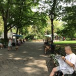 IMG_0345