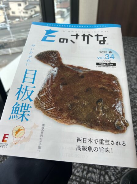 Eのさかなで発見したタイムリーな道後と松山城の魅力