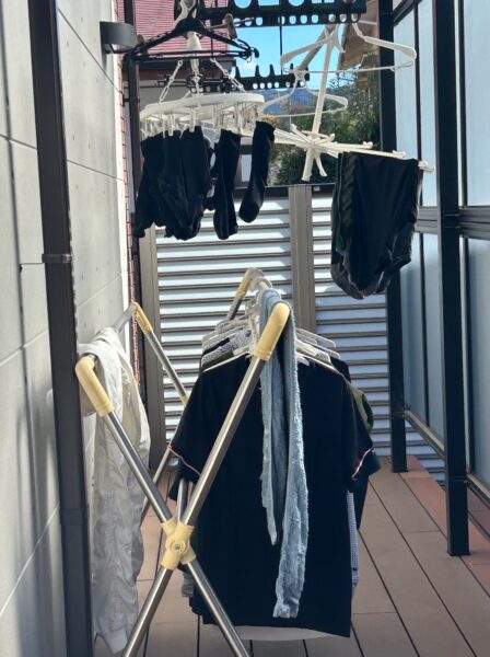 文化の日の断捨離&家事計画