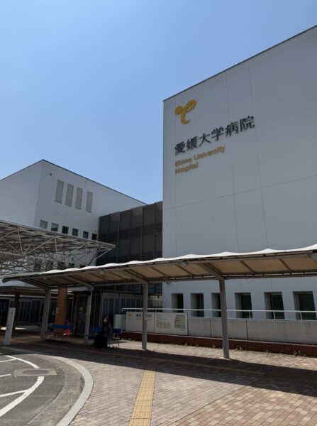 脳の血管造影検査結果